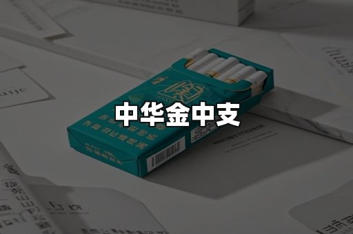 中华金中支